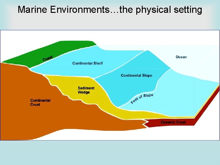 Marine Environments…the physical setting 