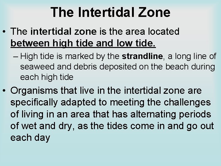 The Intertidal Zone • The intertidal zone is the area located between high tide