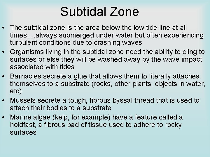 Subtidal Zone • The subtidal zone is the area below the low tide line