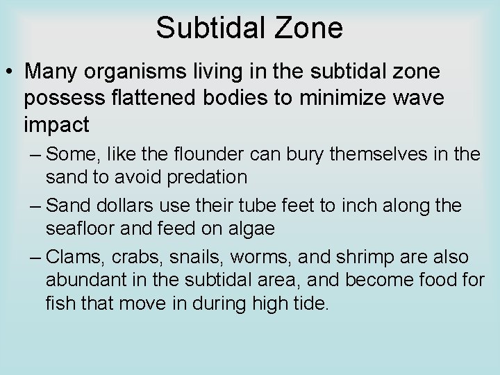 Subtidal Zone • Many organisms living in the subtidal zone possess flattened bodies to