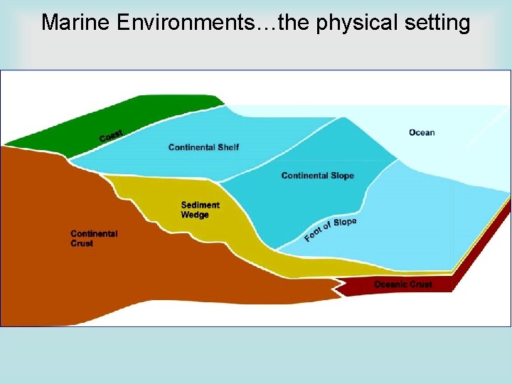 Marine Environments…the physical setting 