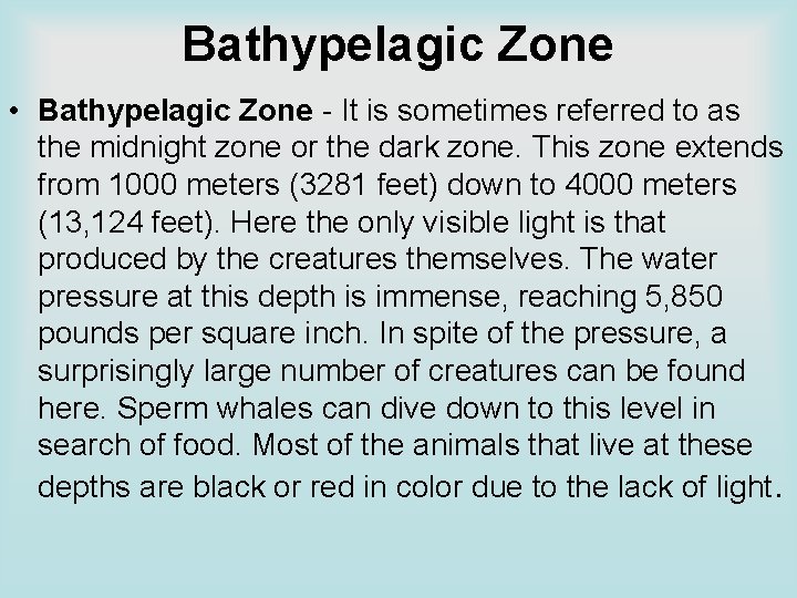 Bathypelagic Zone • Bathypelagic Zone - It is sometimes referred to as the midnight