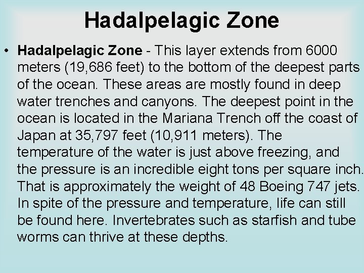 Hadalpelagic Zone • Hadalpelagic Zone - This layer extends from 6000 meters (19, 686