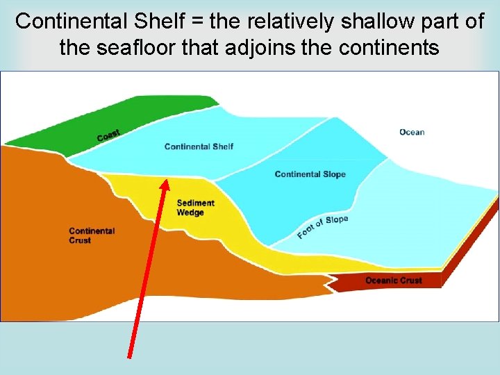 Continental Shelf = the relatively shallow part of the seafloor that adjoins the continents