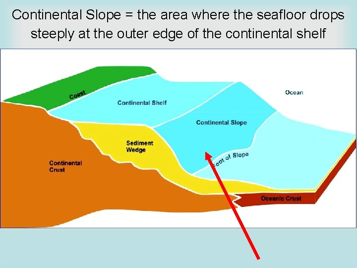 Continental Slope = the area where the seafloor drops steeply at the outer edge