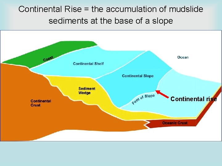 Continental Rise = the accumulation of mudslide sediments at the base of a slope