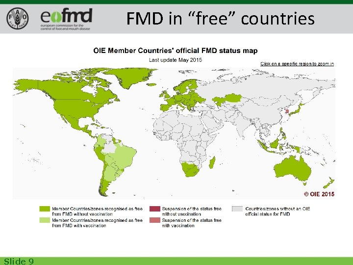 FMD in “free” countries Slide 9 