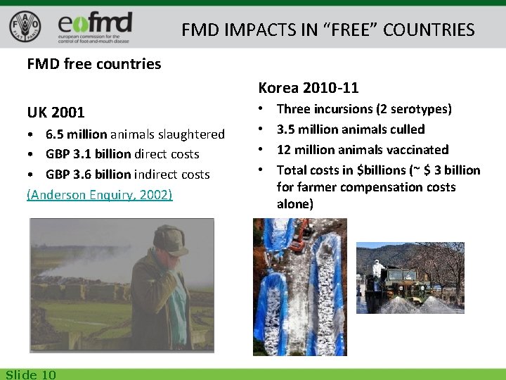 FMD IMPACTS IN “FREE” COUNTRIES FMD free countries Korea 2010 -11 UK 2001 •