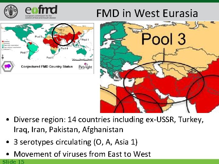 FMD in West Eurasia • Diverse region: 14 countries including ex-USSR, Turkey, Iraq, Iran,