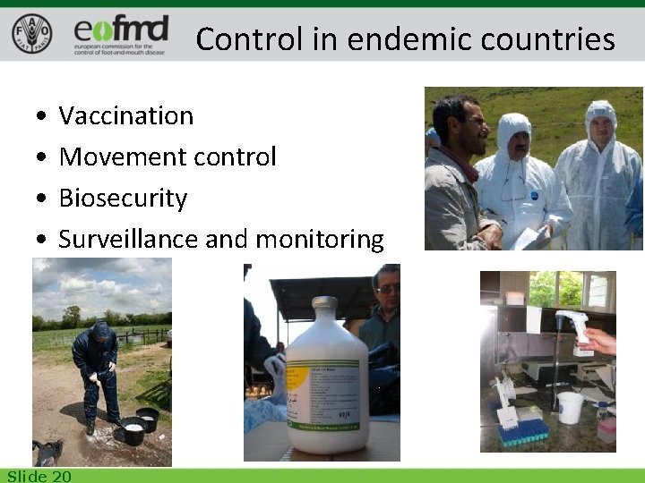 Control in endemic countries • • Vaccination Movement control Biosecurity Surveillance and monitoring Slide