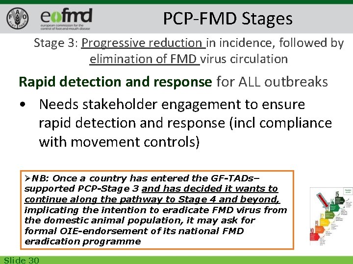 PCP-FMD Stages Stage 3: Progressive reduction in incidence, followed by elimination of FMD virus