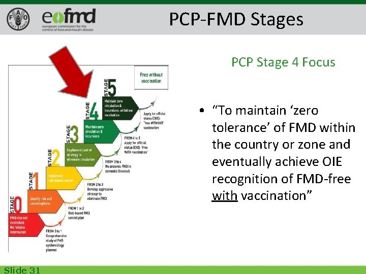 PCP-FMD Stages PCP Stage 4 Focus • “To maintain ‘zero tolerance’ of FMD within