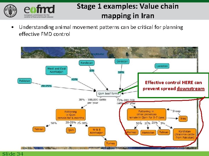 Stage 1 examples: Value chain mapping in Iran • Understanding animal movement patterns can