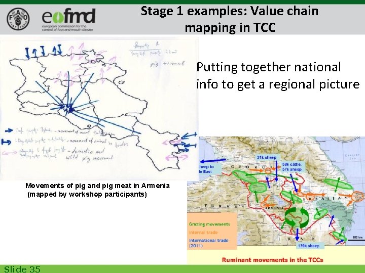 Stage 1 examples: Value chain mapping in TCC Putting together national info to get