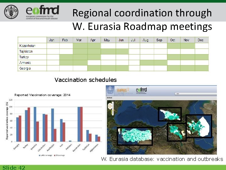 Regional coordination through W. Eurasia Roadmap meetings Vaccination schedules Reported Vaccination coverage: 2014 W.