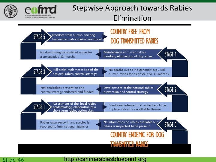 Stepwise Approach towards Rabies Elimination Slide 46 http: //caninerabiesblueprint. org 