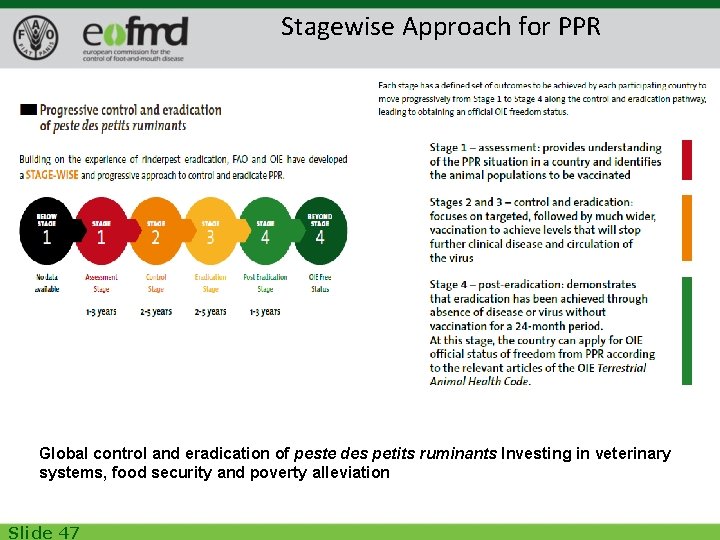 Stagewise Approach for PPR Global control and eradication of peste des petits ruminants Investing