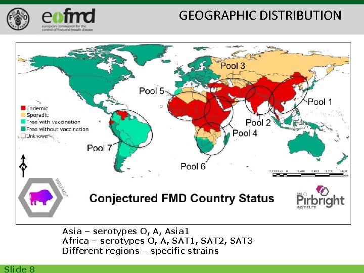 GEOGRAPHIC DISTRIBUTION Asia – serotypes O, A, Asia 1 Africa – serotypes O, A,