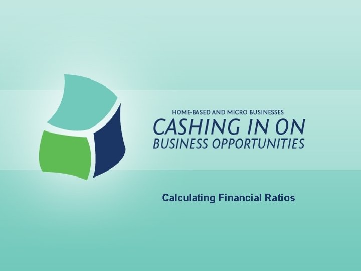 Calculating Financial Ratios 