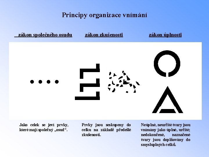 Principy organizace vnímání zákon společného osudu Jako celek se jeví prvky, které mají společný