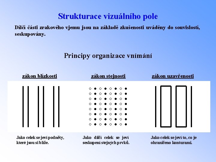 Strukturace vizuálního pole Dílčí části zrakového vjemu jsou na základě zkušenosti uváděny do souvislostí,