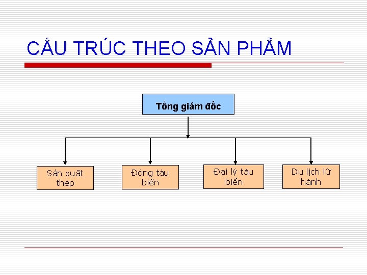 CẤU TRÚC THEO SẢN PHẨM Tổng giám đốc Sản xuất thép Đóng tàu biển
