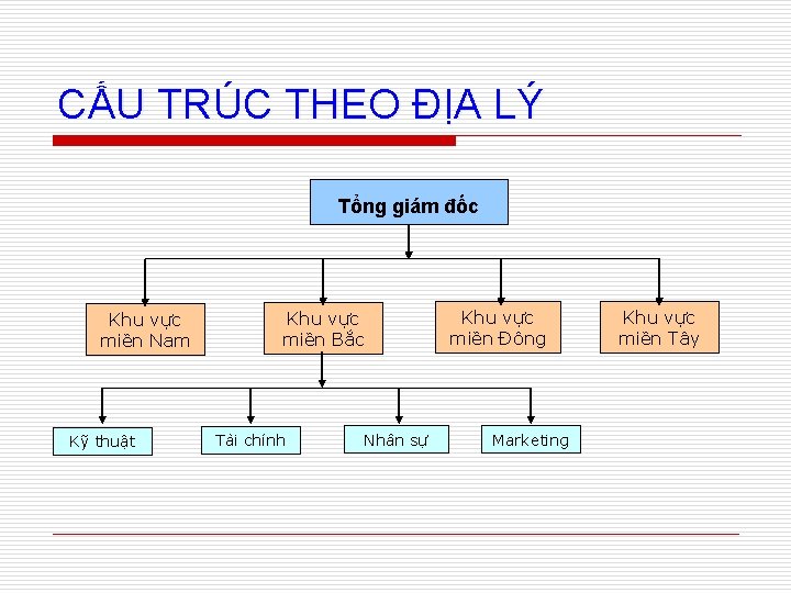 CẤU TRÚC THEO ĐỊA LÝ Tổng giám đốc Khu vực miền Nam Kỹ thuật