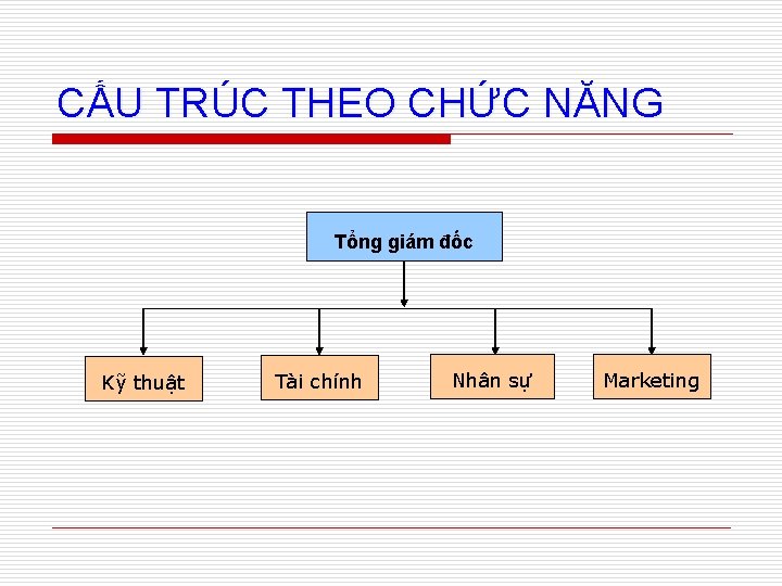 CẤU TRÚC THEO CHỨC NĂNG Tổng giám đốc Kỹ thuật Tài chính Nhân sự
