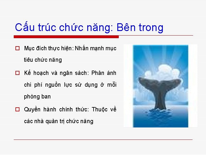 Cấu trúc chức năng: Bên trong o Mục đích thực hiện: Nhấn mạnh mục