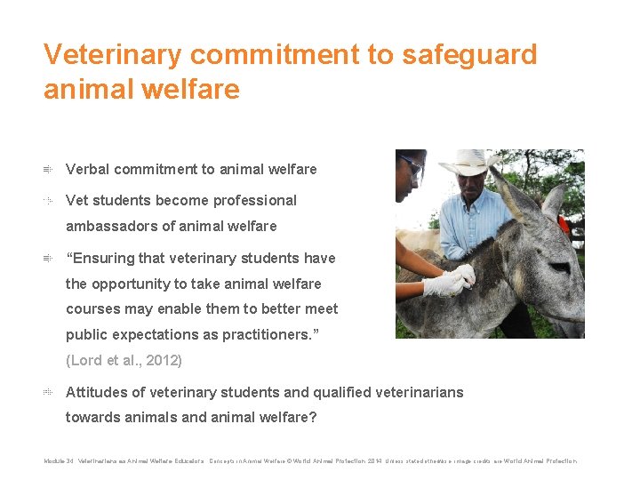 Veterinary commitment to safeguard animal welfare Verbal commitment to animal welfare Vet students become Veterinary commitment to safeguard animal welfare Verbal commitment to animal welfare Vet students become