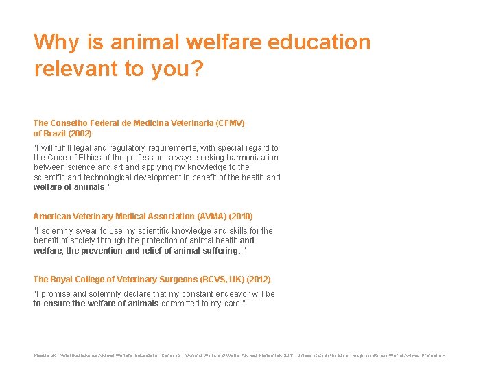 Why is animal welfare education relevant to you? The Conselho Federal de Medicina Veterinaria