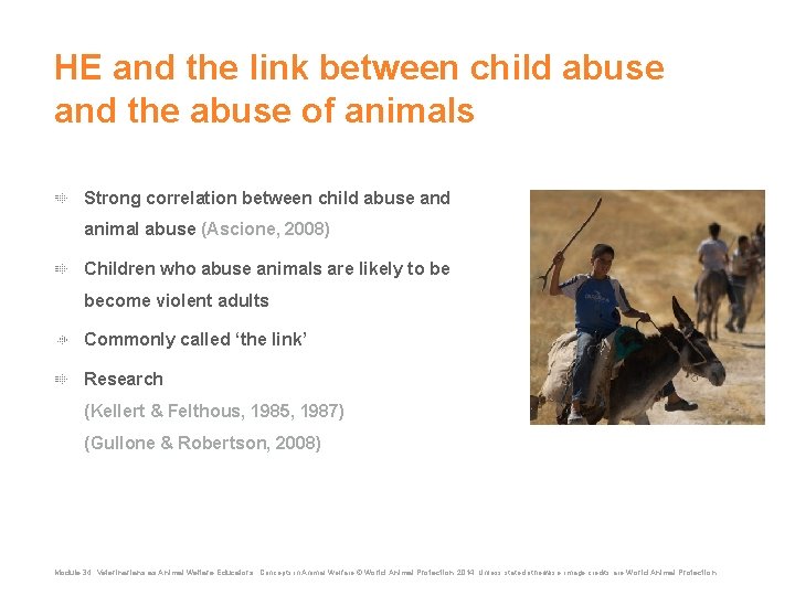 HE and the link between child abuse and the abuse of animals Strong correlation