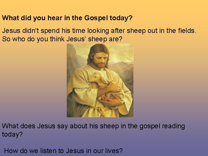 What did you hear in the Gospel today? Jesus didn’t spend his time looking