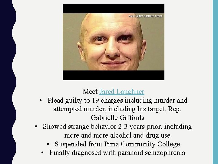 Meet Jared Laughner • Plead guilty to 19 charges including murder and attempted murder,