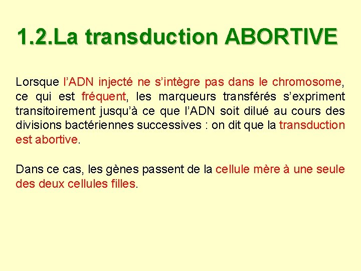 1. 2. La transduction ABORTIVE Lorsque l’ADN injecté ne s’intègre pas dans le chromosome, 1. 2. La transduction ABORTIVE Lorsque l’ADN injecté ne s’intègre pas dans le chromosome,