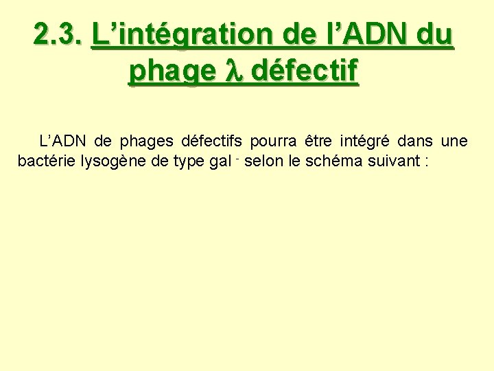 2. 3. L’intégration de l’ADN du phage défectif L’ADN de phages défectifs pourra être 2. 3. L’intégration de l’ADN du phage défectif L’ADN de phages défectifs pourra être