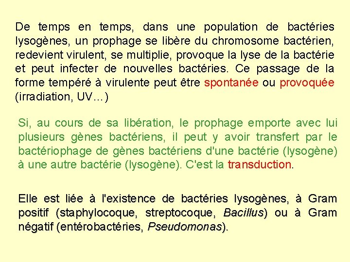 De temps en temps, dans une population de bactéries lysogènes, un prophage se libère De temps en temps, dans une population de bactéries lysogènes, un prophage se libère