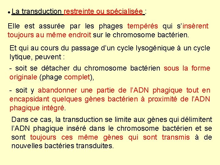 La transduction restreinte ou spécialisée : Elle est assurée par les phages tempérés La transduction restreinte ou spécialisée : Elle est assurée par les phages tempérés