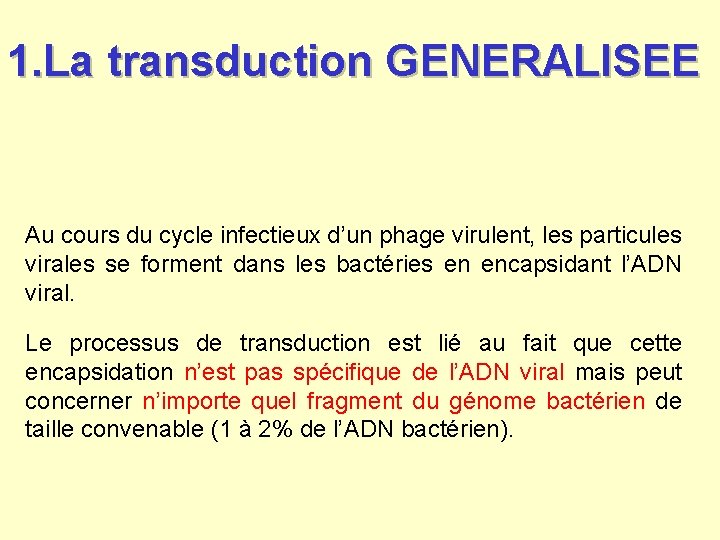 1. La transduction GENERALISEE Au cours du cycle infectieux d’un phage virulent, les particules 1. La transduction GENERALISEE Au cours du cycle infectieux d’un phage virulent, les particules