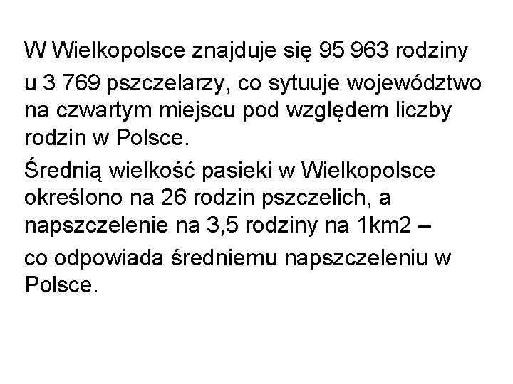  W Wielkopolsce znajduje się 95 963 rodziny u 3 769 pszczelarzy, co sytuuje