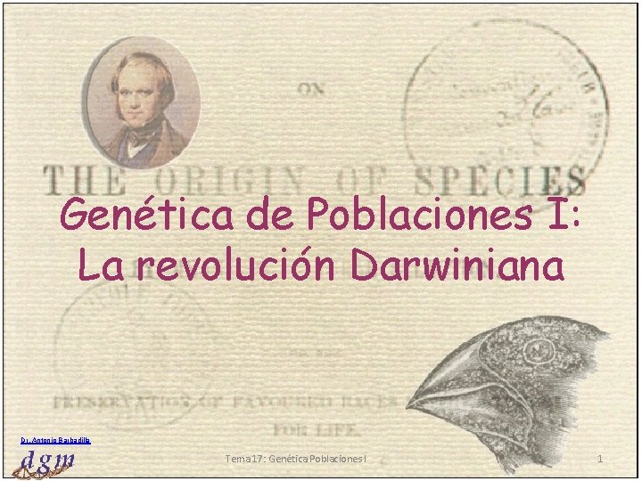 Genética de Poblaciones I: La revolución Darwiniana Dr. Antonio Barbadilla Tema 17: Genética Poblaciones