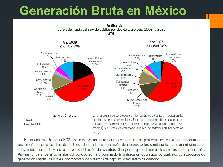 Generación Bruta en México 