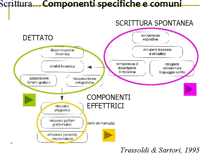 Scrittura…Componenti specifiche e comuni SCRITTURA SPONTANEA DETTATO COMPONENTI EFFETTRICI Tressoldi & Sartori, 1995 Scrittura…Componenti specifiche e comuni SCRITTURA SPONTANEA DETTATO COMPONENTI EFFETTRICI Tressoldi & Sartori, 1995