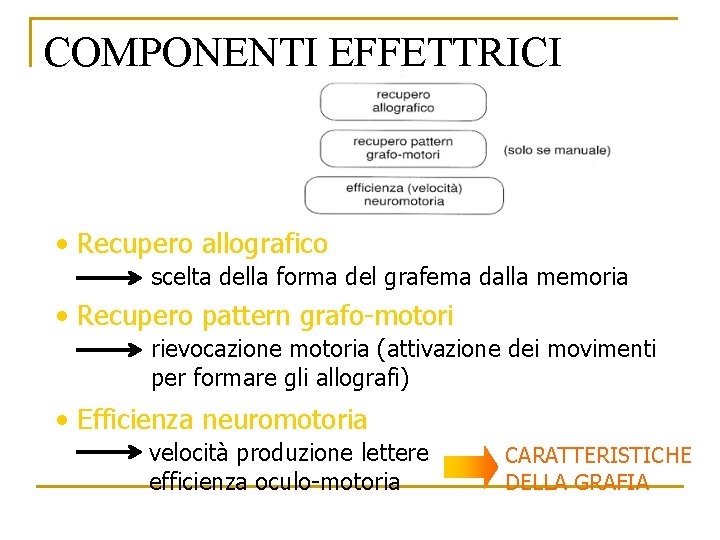 COMPONENTI EFFETTRICI • Recupero allografico scelta della forma del grafema dalla memoria • Recupero COMPONENTI EFFETTRICI • Recupero allografico scelta della forma del grafema dalla memoria • Recupero