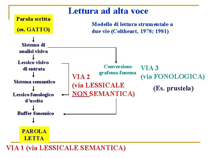Parola scritta (es. GATTO) Lettura ad alta voce Modello di lettura strumentale a due Parola scritta (es. GATTO) Lettura ad alta voce Modello di lettura strumentale a due