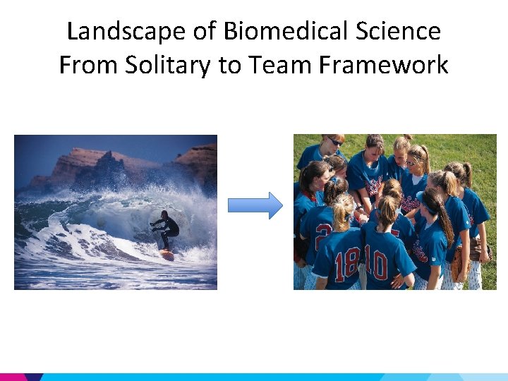 Landscape of Biomedical Science From Solitary to Team Framework 