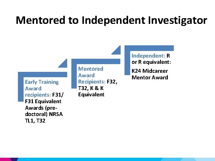 Mentored to Independent Investigator Early Training Award recipients: F 31/ F 31 Equivalent Awards