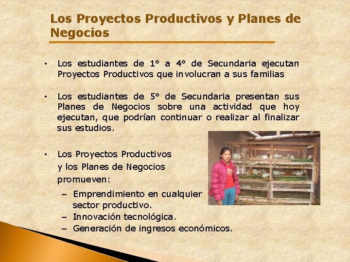 Los Proyectos Productivos y Planes de Negocios • Los estudiantes de 1° a 4° Los Proyectos Productivos y Planes de Negocios • Los estudiantes de 1° a 4°