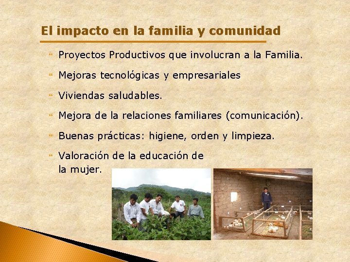 El impacto en la familia y comunidad Proyectos Productivos que involucran a la Familia. El impacto en la familia y comunidad Proyectos Productivos que involucran a la Familia.