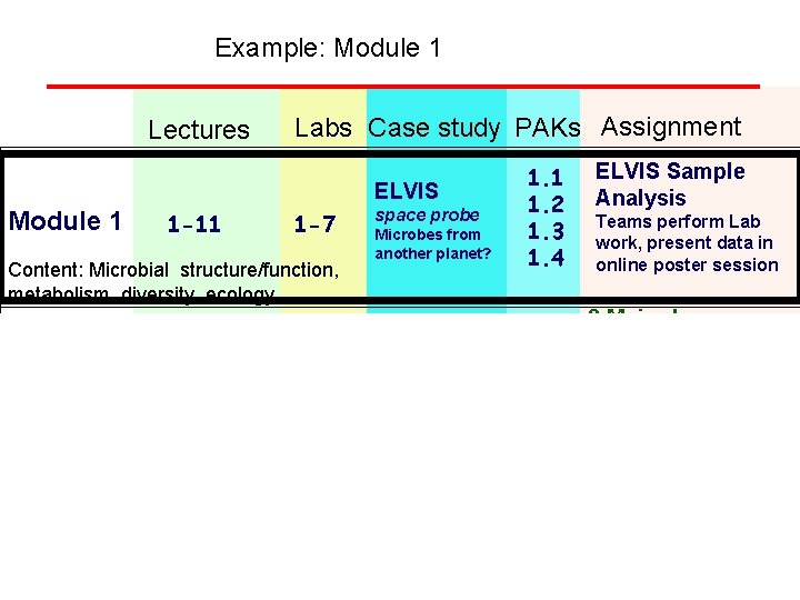 Example: Module 1 Lectures Labs Case study PAKs Assignment ELVIS Module 1 1 -11